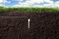 Preview: Soil-Clik Feuchtesensor / Bodenfeuchtemesser von Hunter SC-Probe (kompatibel mit allen Hunter 24V AC Steuergeräten)